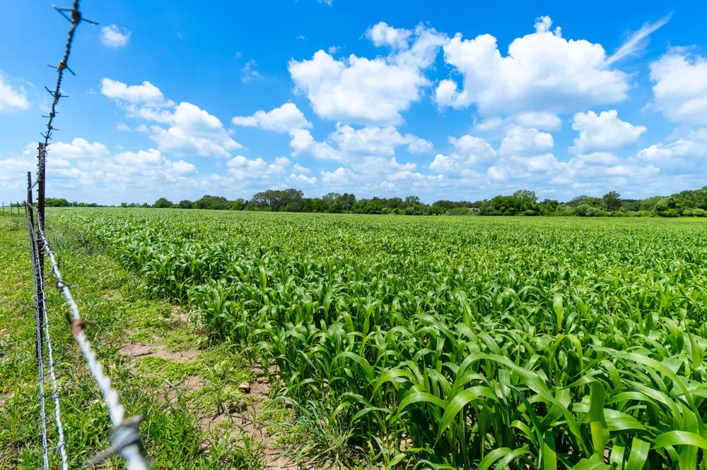 5018 Wolters Road Schulenburg, TX 78956