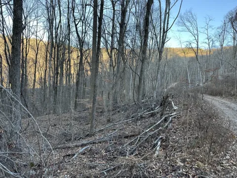 3233 Stone Ridge Road Road