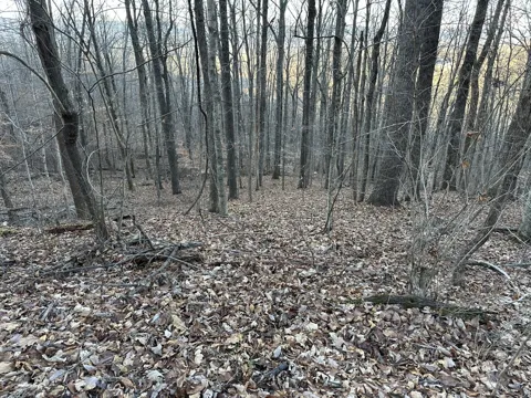 76 Fox Ridge