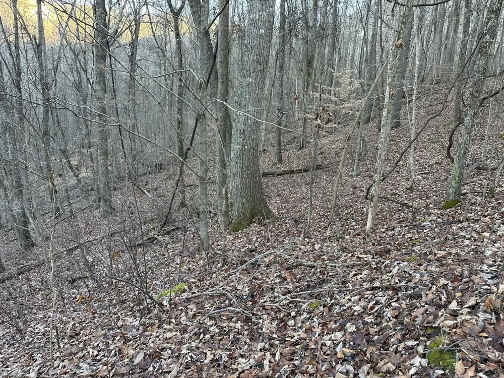 83 Stone Ridge Road Pikeville, TN 37367