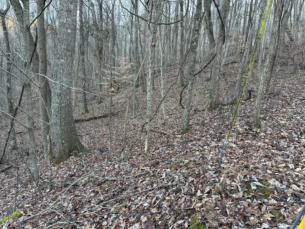 83 Stone Ridge Road Pikeville, TN 37367