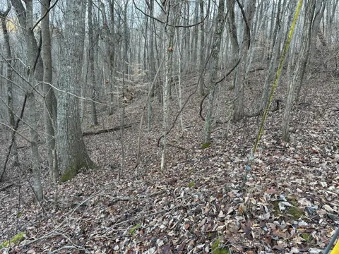 83 Stone Ridge Road