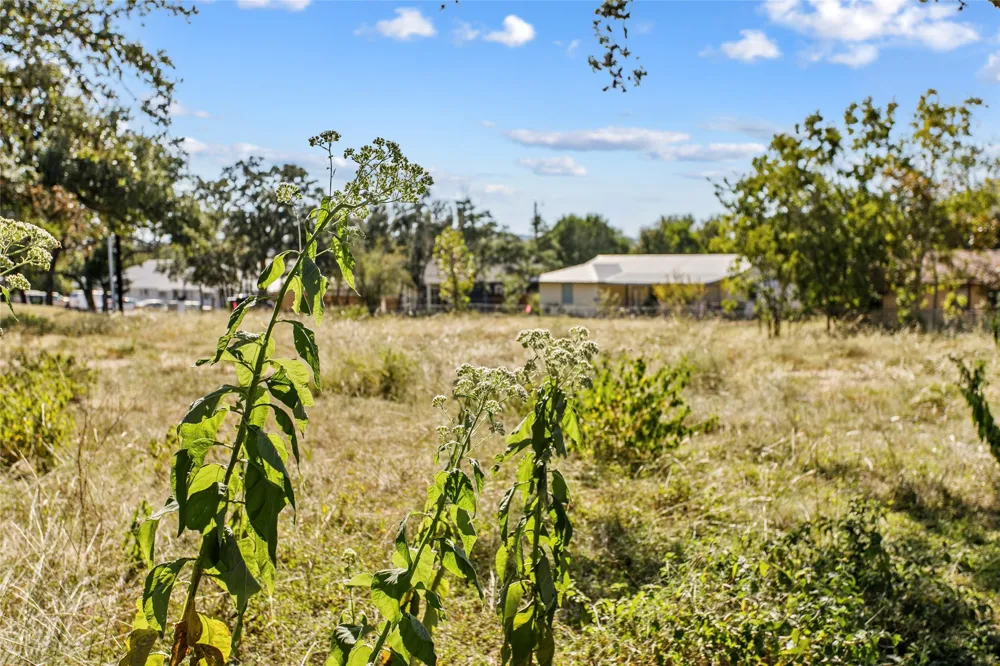 1316 Greenlawn Parkway Blanco, TX 78606