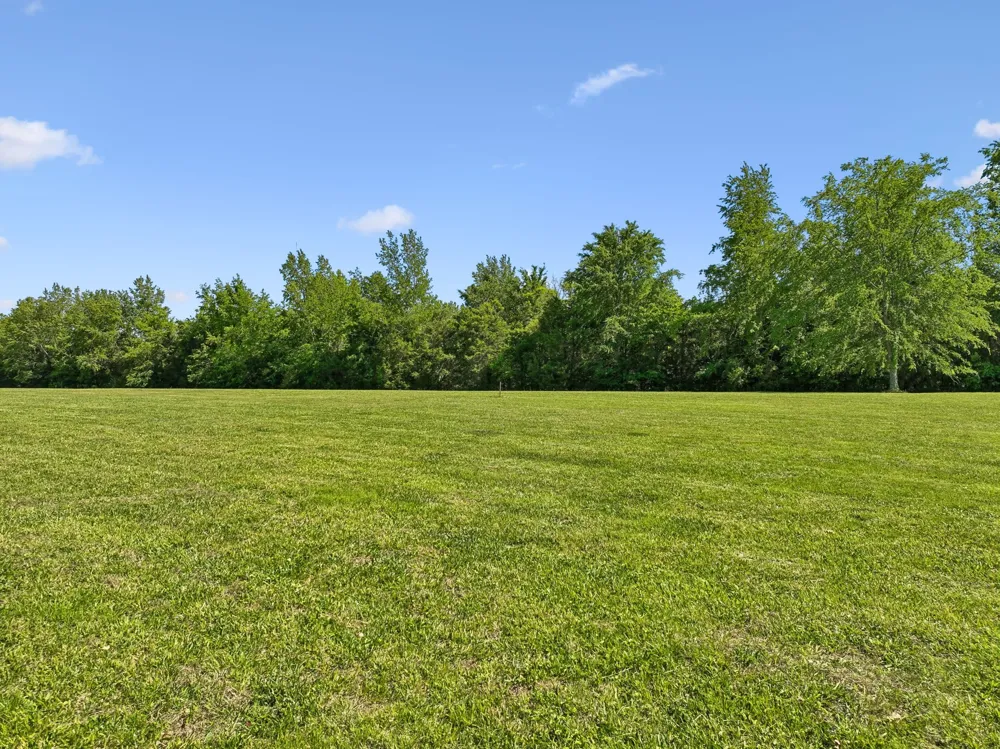 250 Bonwood Dr Murfreesboro, TN 37128