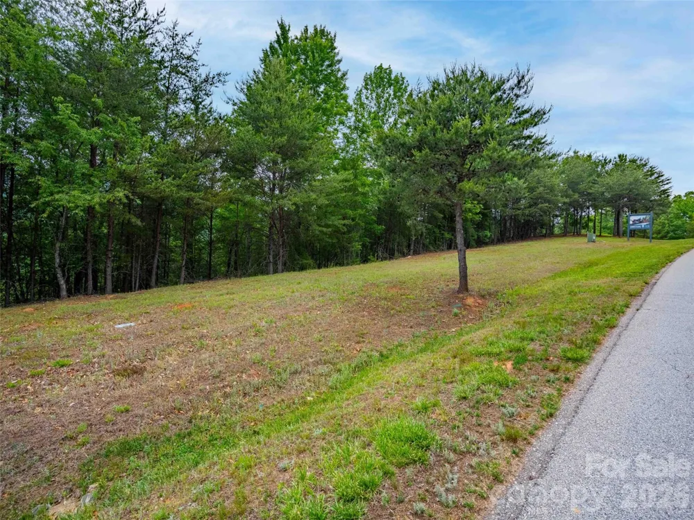 38 Deep Gap Farm Road E #38 Mill Spring, NC 28756