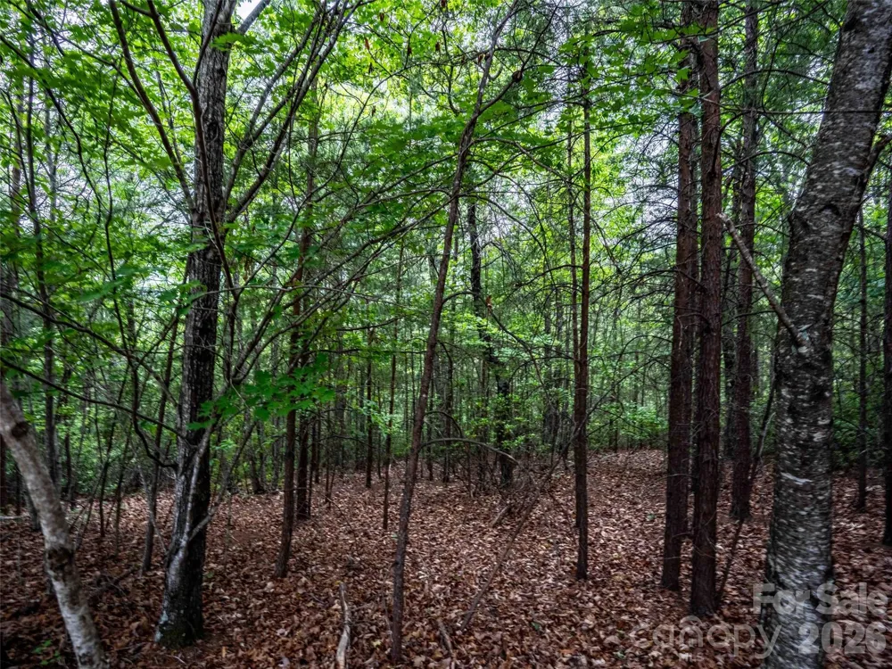 38 Deep Gap Farm Road E #38 Mill Spring, NC 28756