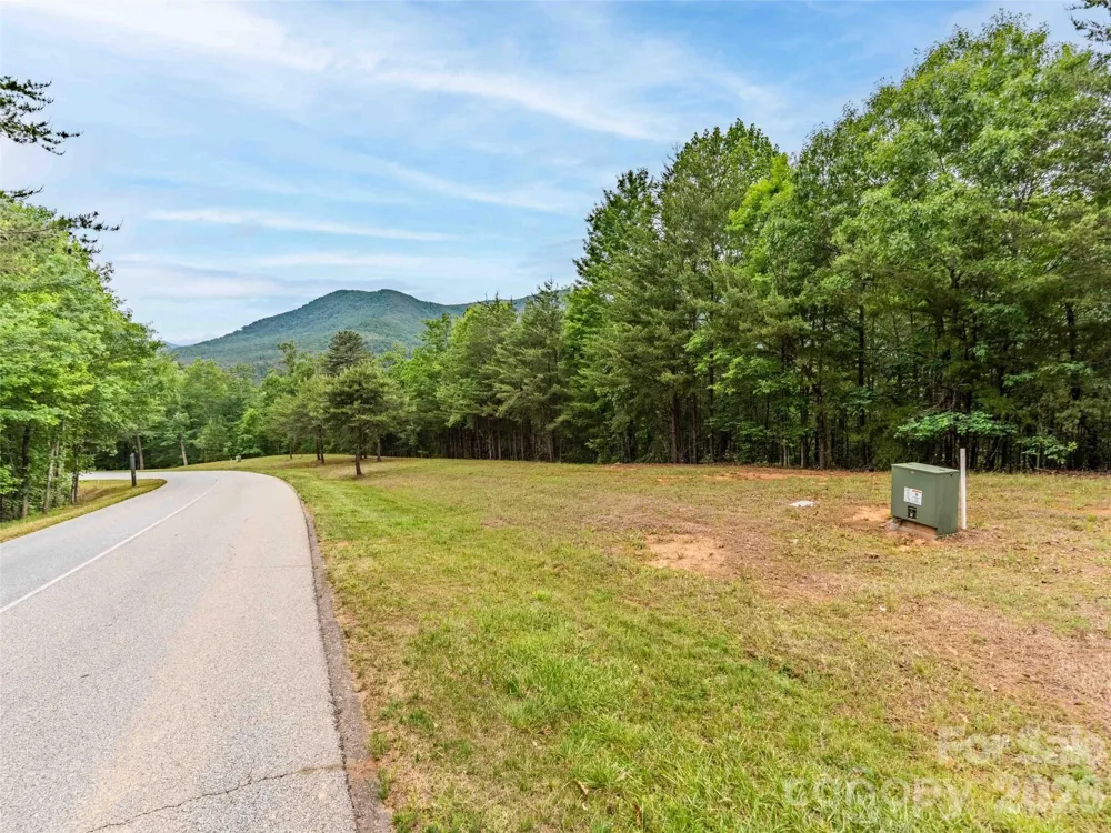 38 Deep Gap Farm Road E #38 Mill Spring, NC 28756