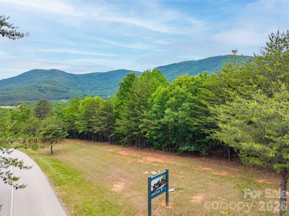 38 Deep Gap Farm Road E #38 Mill Spring, NC 28756