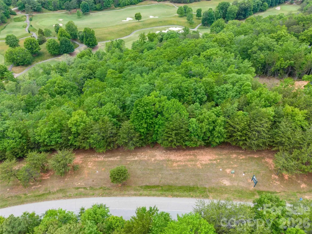 38 Deep Gap Farm Road E #38 Mill Spring, NC 28756