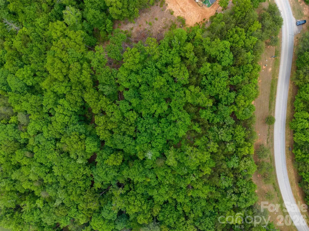 38 Deep Gap Farm Road E #38 Mill Spring, NC 28756