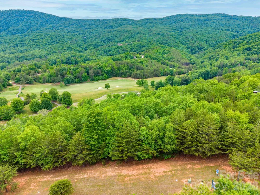 38 Deep Gap Farm Road E #38 Mill Spring, NC 28756