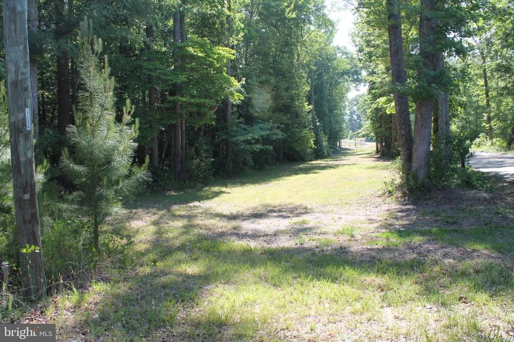 6019 HICKORY RIDGE RD Spotsylvania, VA 22551