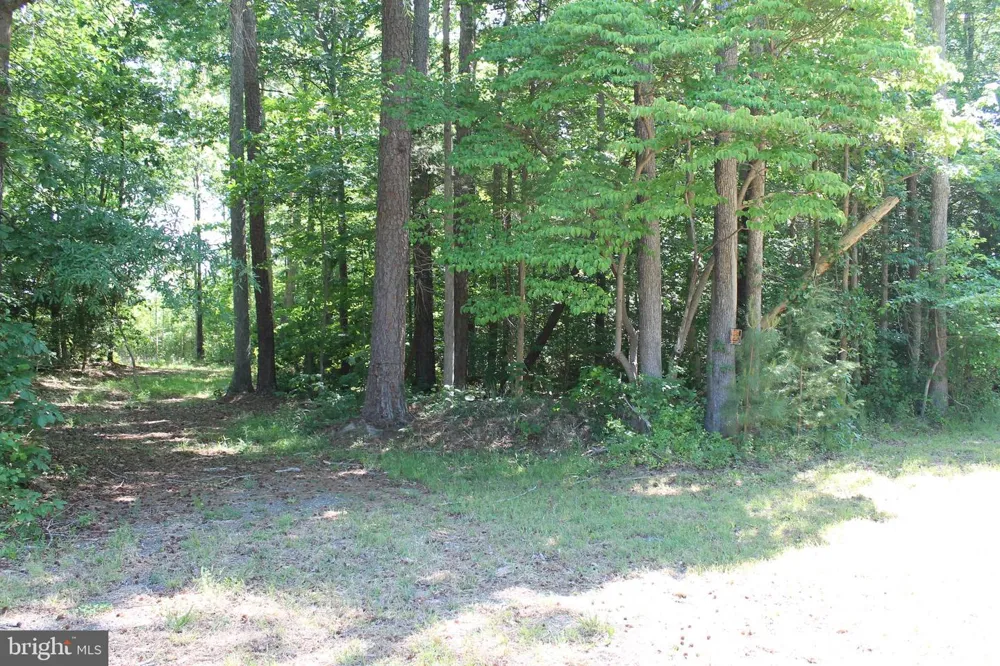 6019 HICKORY RIDGE RD Spotsylvania, VA 22551