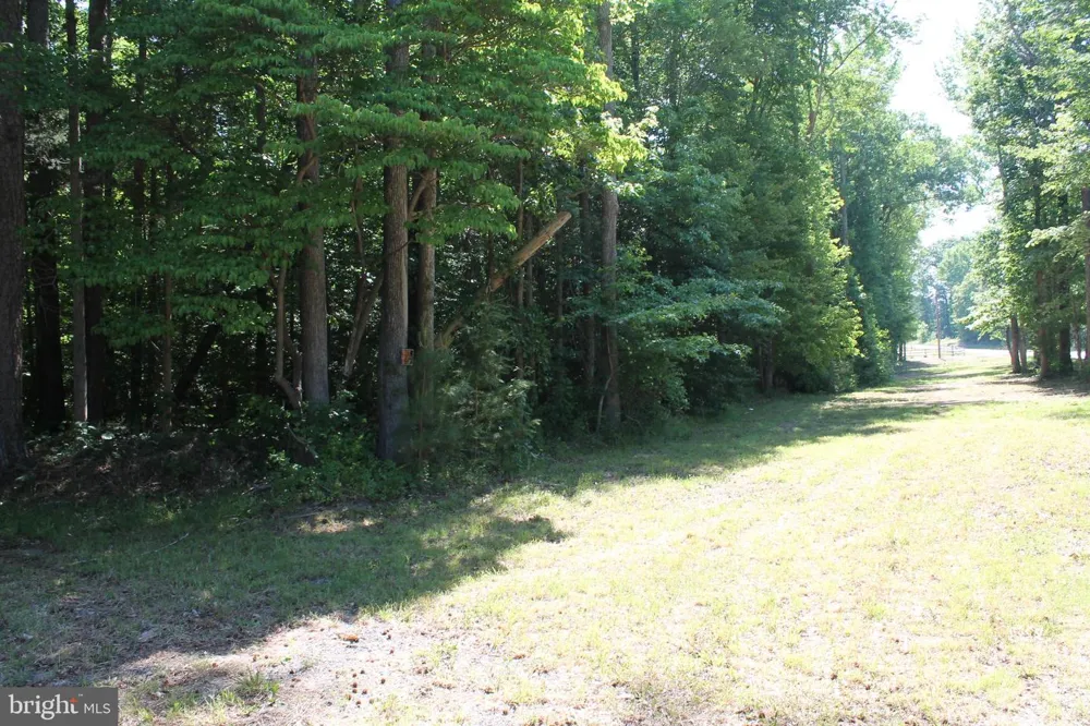 6019 HICKORY RIDGE RD Spotsylvania, VA 22551