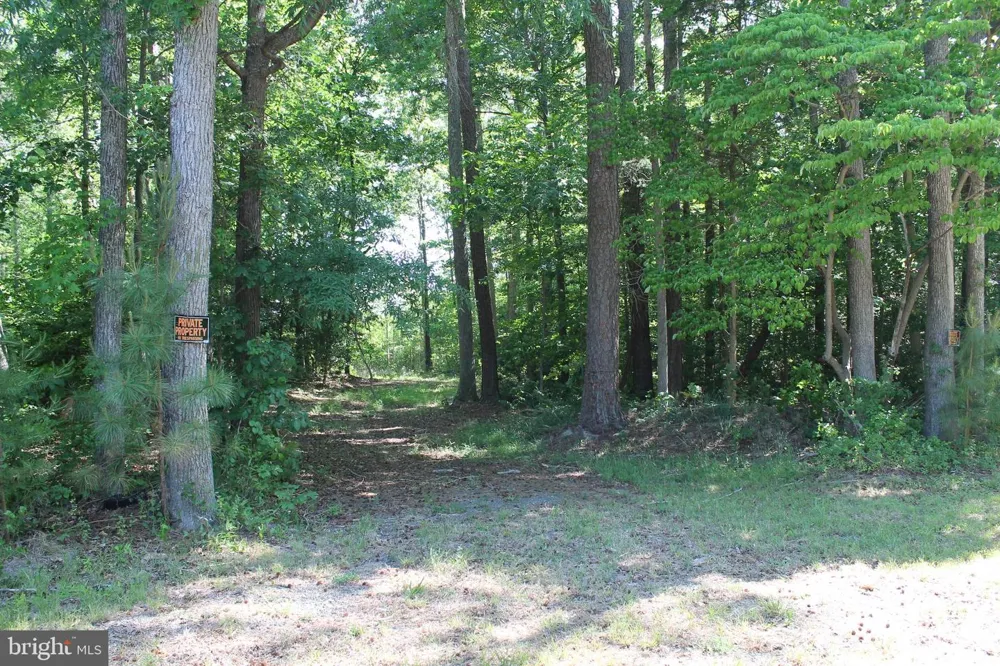 6019 HICKORY RIDGE RD Spotsylvania, VA 22551