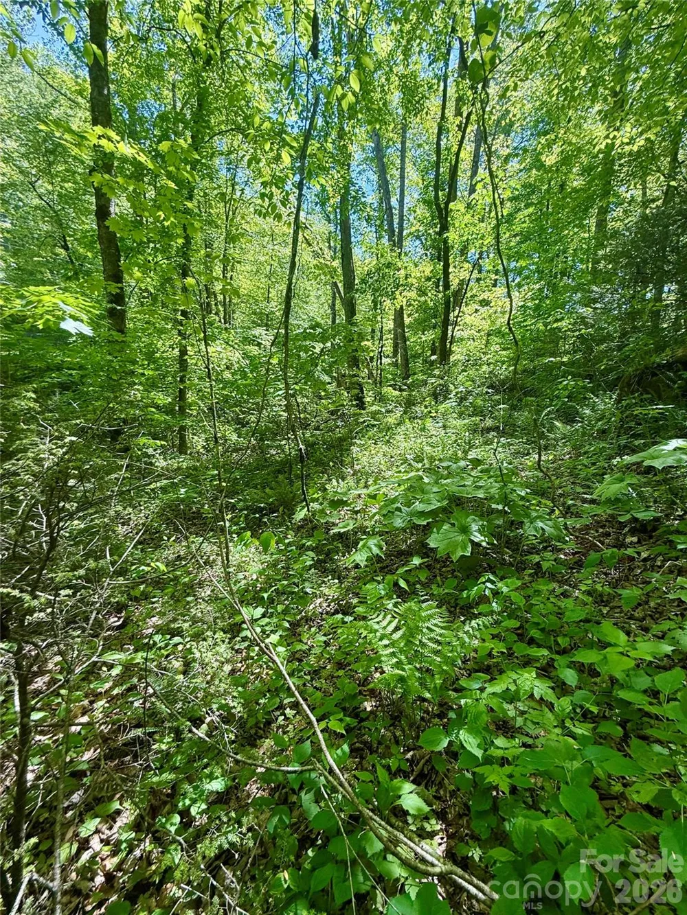 TBD Highway 107 #Lot 1 Glenville, NC 28736