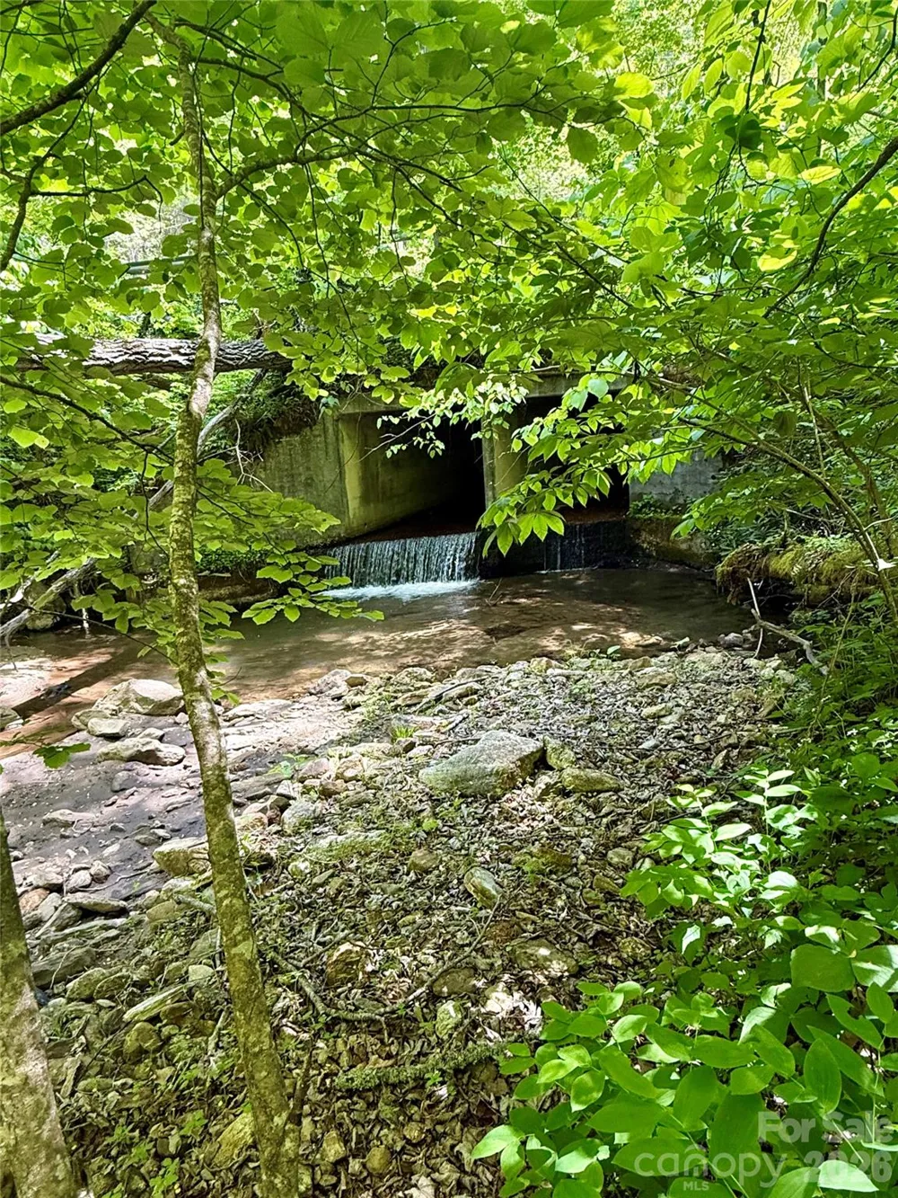 TBD Highway 107 #Lot 1 Glenville, NC 28736
