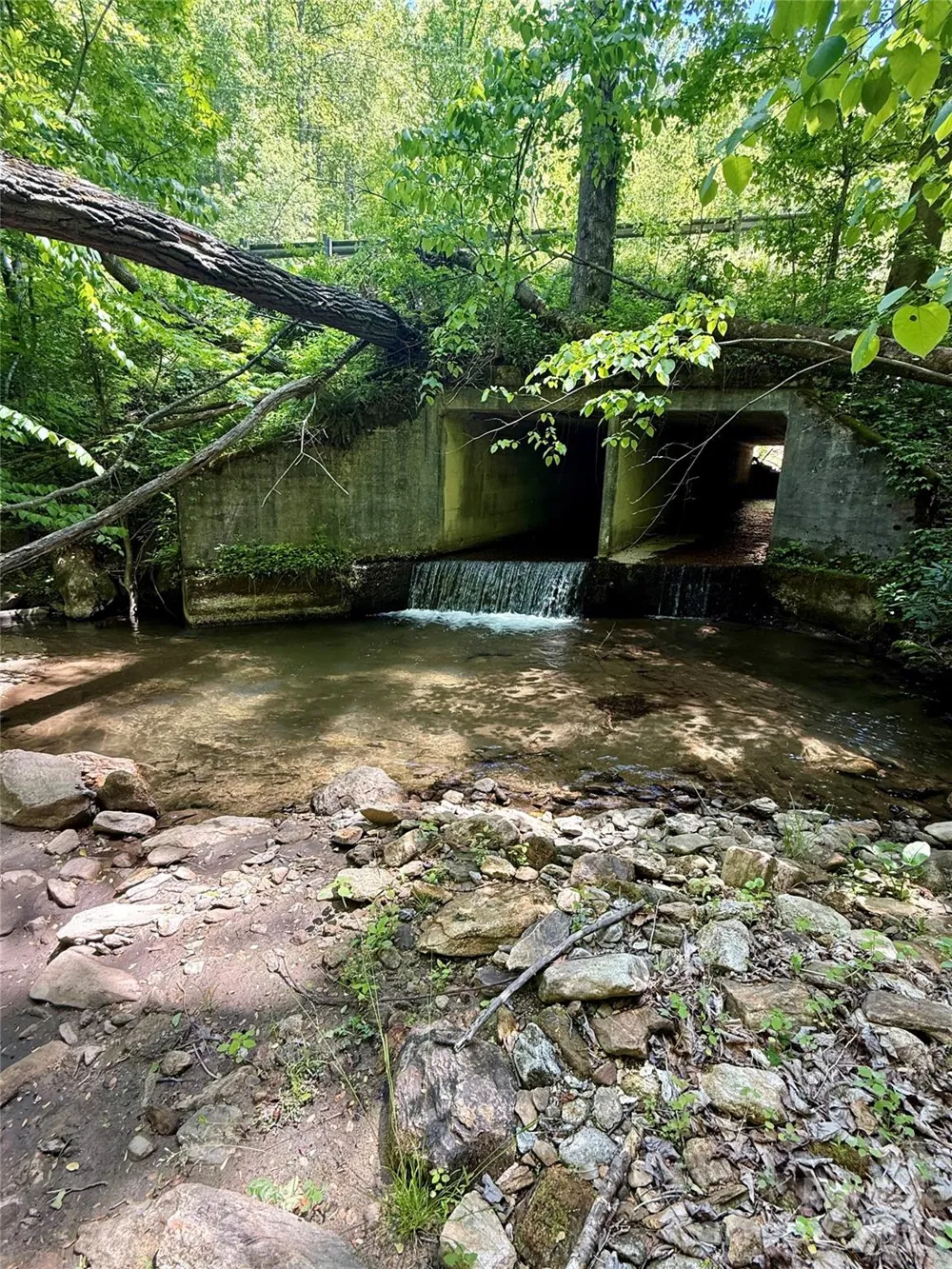 TBD Highway 107 #Lot 1 Glenville, NC 28736