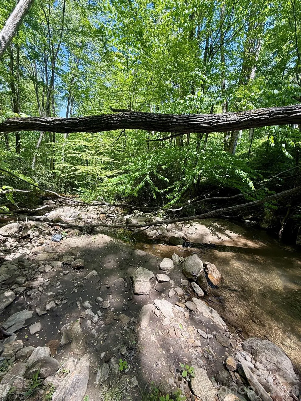 TBD Highway 107 #Lot 1 Glenville, NC 28736