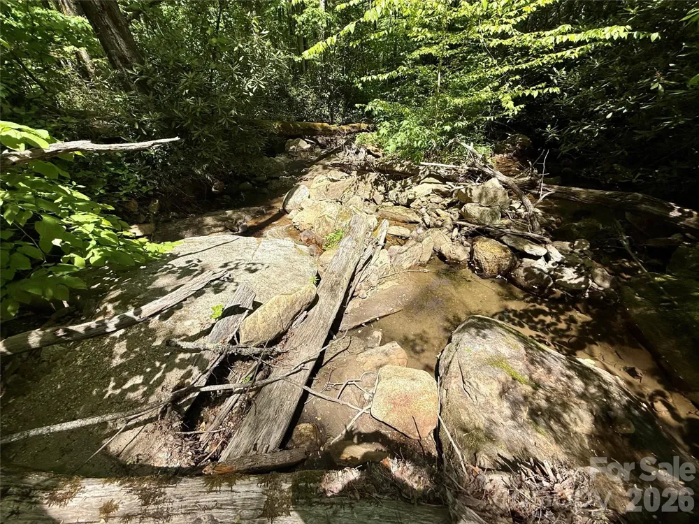 TBD Highway 107 #Lot 1 Glenville, NC 28736