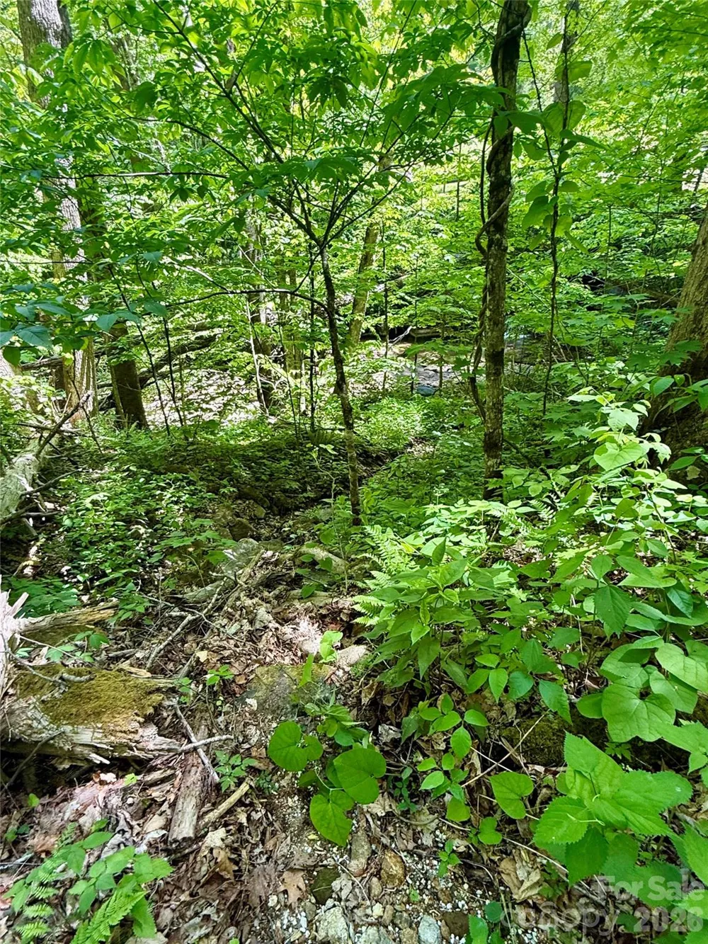 TBD Highway 107 #Lot 1 Glenville, NC 28736