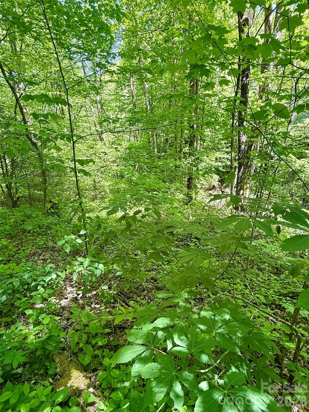 TBD Highway 107 #Lot 1 Glenville, NC 28736