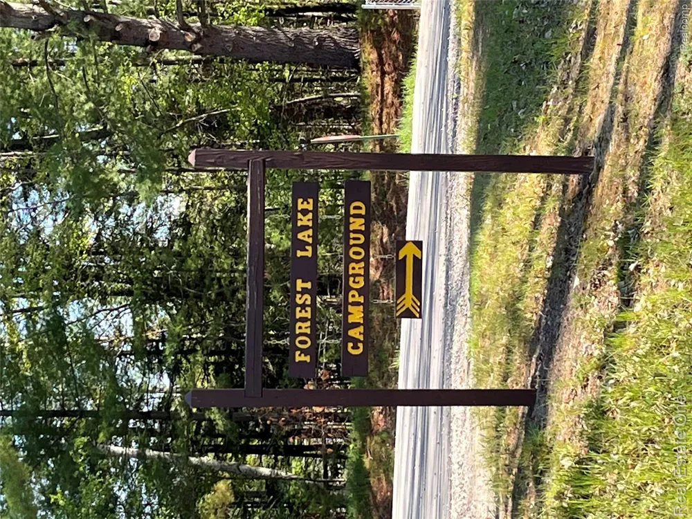 S. Forest Lake Drive Moffatt Township, MI 48610