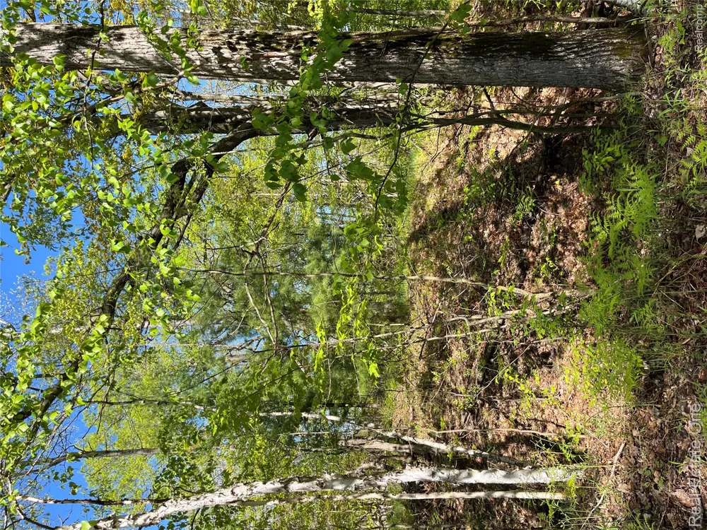 S. Forest Lake Drive Moffatt Township, MI 48610