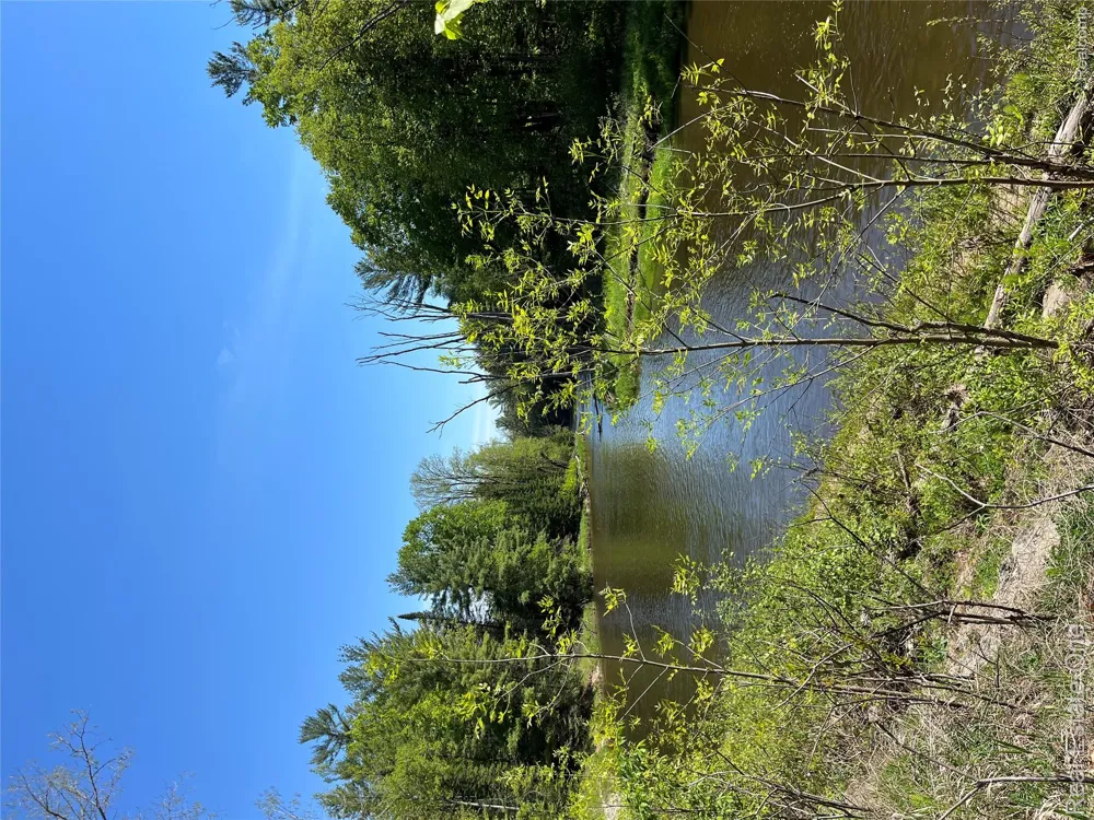 S. Forest Lake Drive Moffatt Township, MI 48610