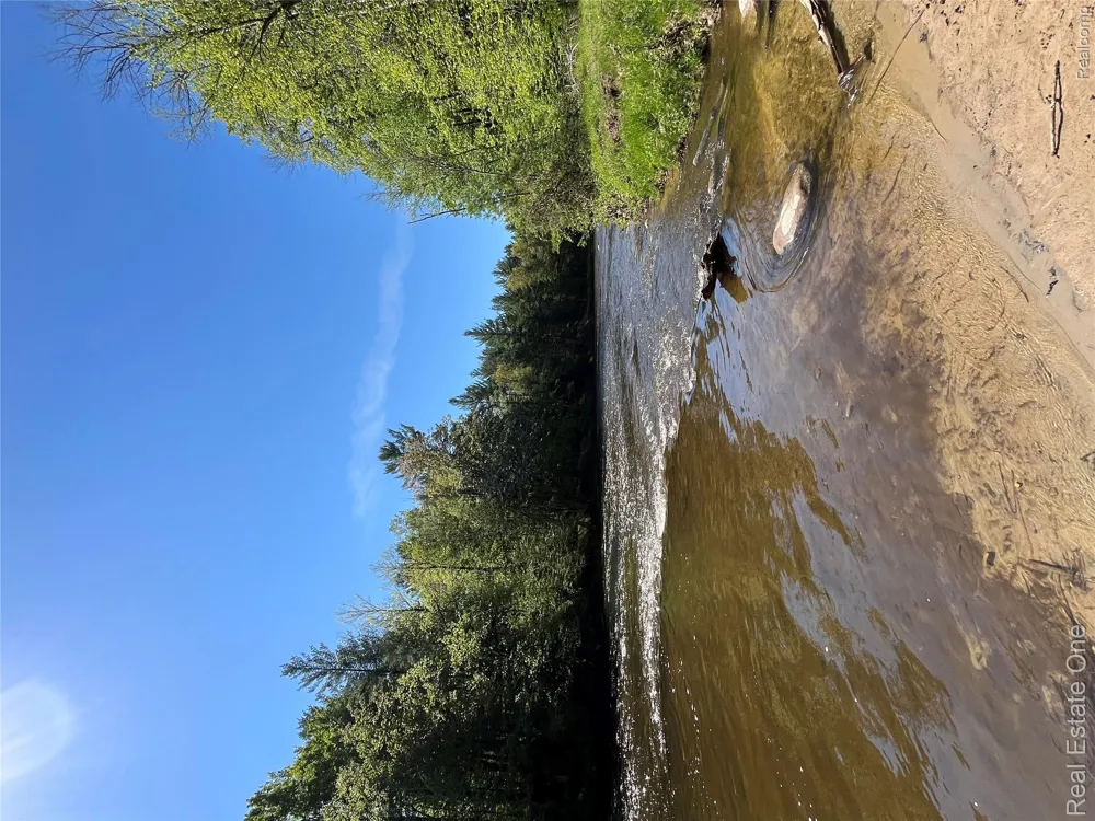 S. Forest Lake Drive Moffatt Township, MI 48610
