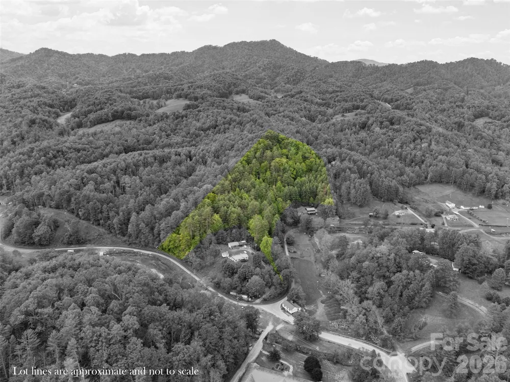 0000 Jacks Creek Road Burnsville, NC 28714