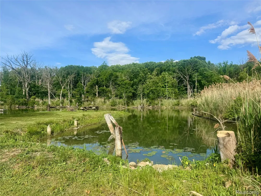 22827 Meridian Road Grosse Ile Township, MI 48138