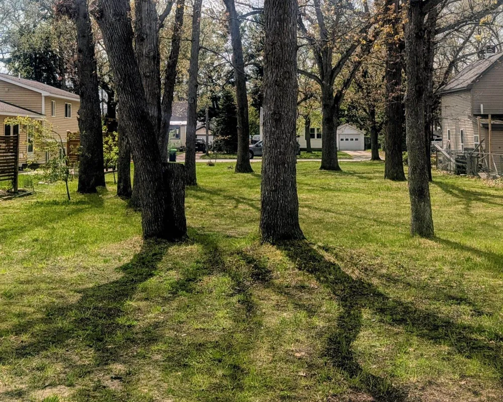 213 E Fifteenth Street Traverse City City, MI 49684