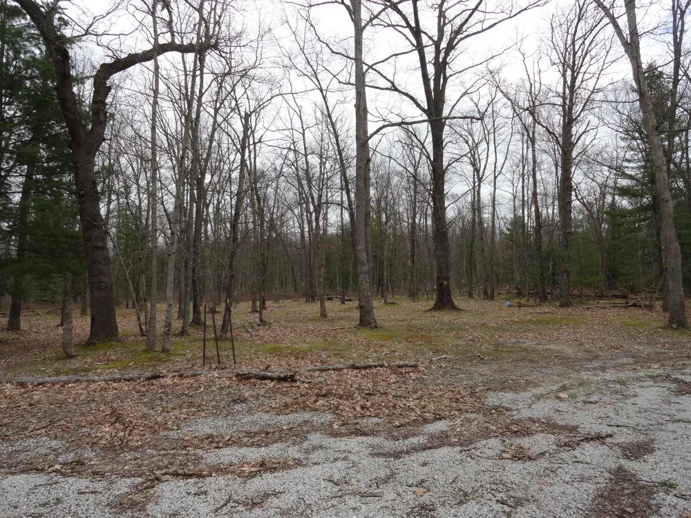 1035 Udell Hills Fire Tower Road Stronach Township, MI 49660