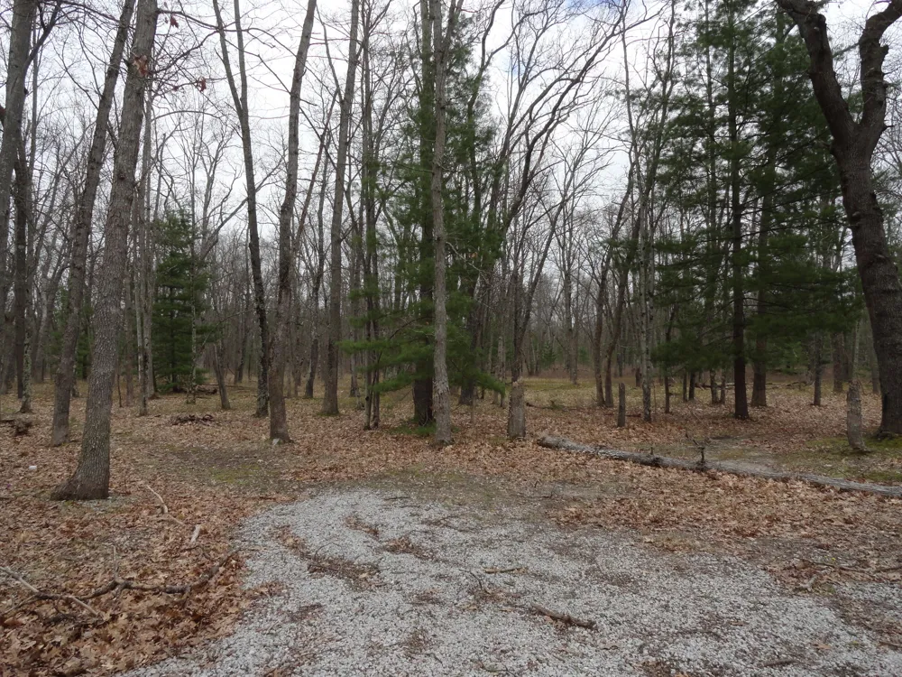 1035 Udell Hills Fire Tower Road Stronach Township, MI 49660