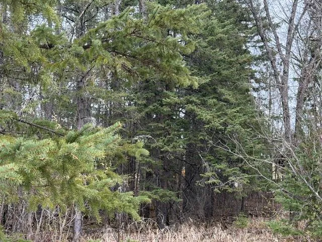 TBD 5th TBD 5th Street SE Cook, MN 55723