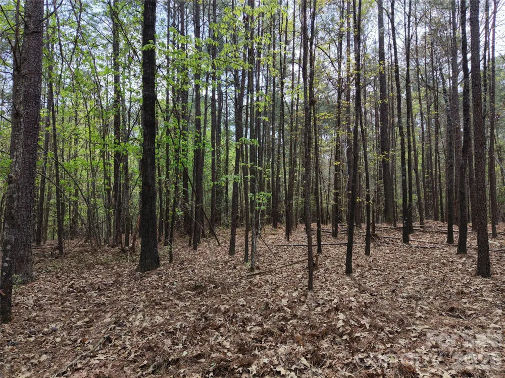 TBD RIVER BLUFF LANE Lilesville, NC 28091