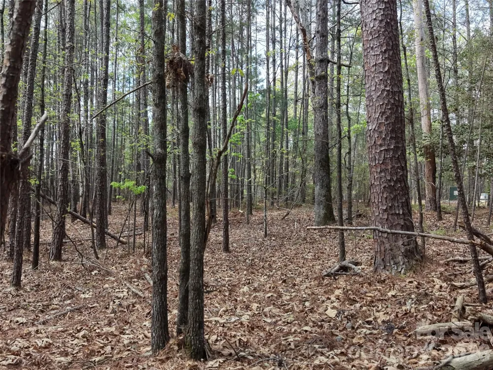 TBD RIVER BLUFF LANE Lilesville, NC 28091