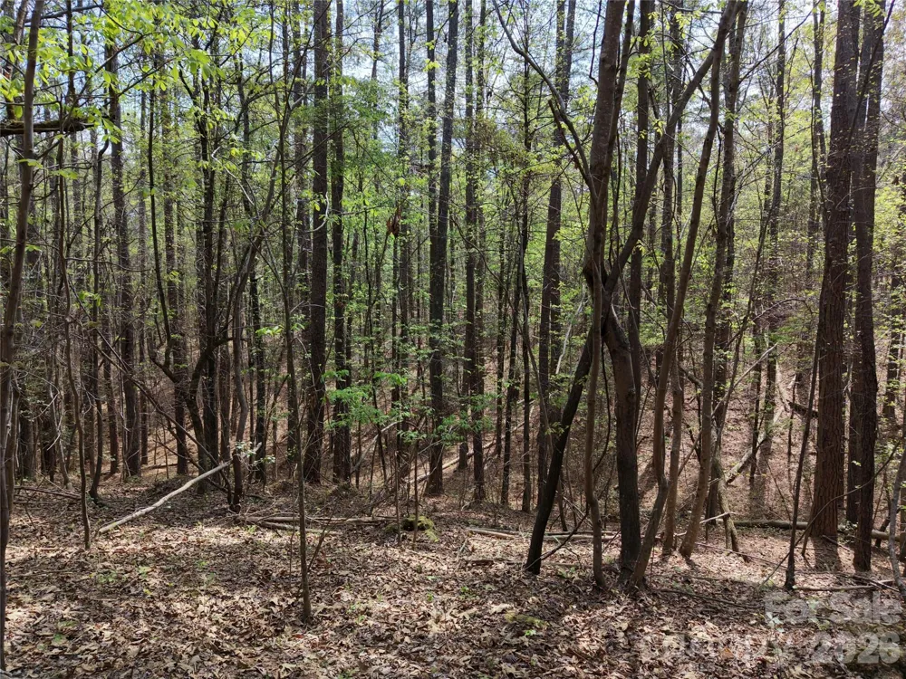 TBD RIVER BLUFF LANE Lilesville, NC 28091