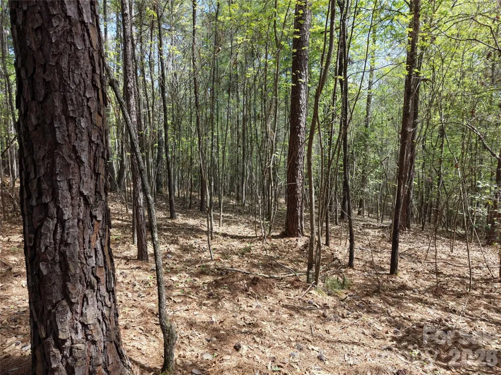 TBD RIVER BLUFF LANE Lilesville, NC 28091
