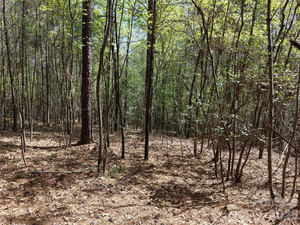TBD RIVER BLUFF LANE Lilesville, NC 28091