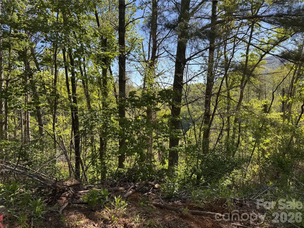 00 River Rock Road Warrensville, NC 28693