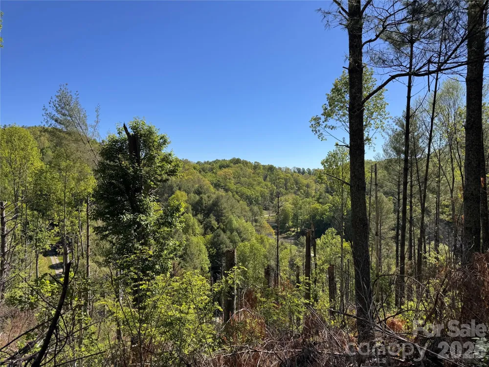 00 River Rock Road Warrensville, NC 28693
