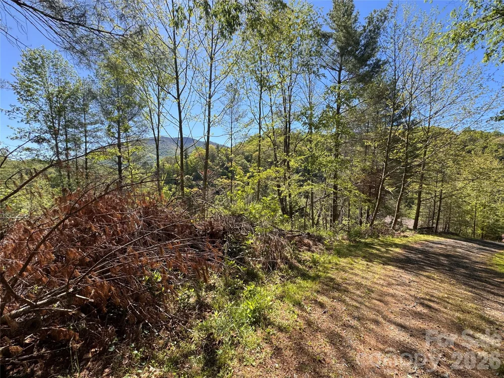 00 River Rock Road Warrensville, NC 28693