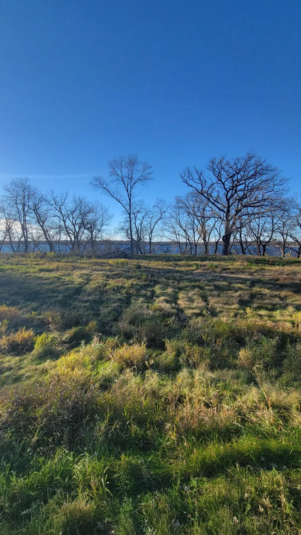 TBD Lot 4 County Road 9 NE Willmar, MN 56201