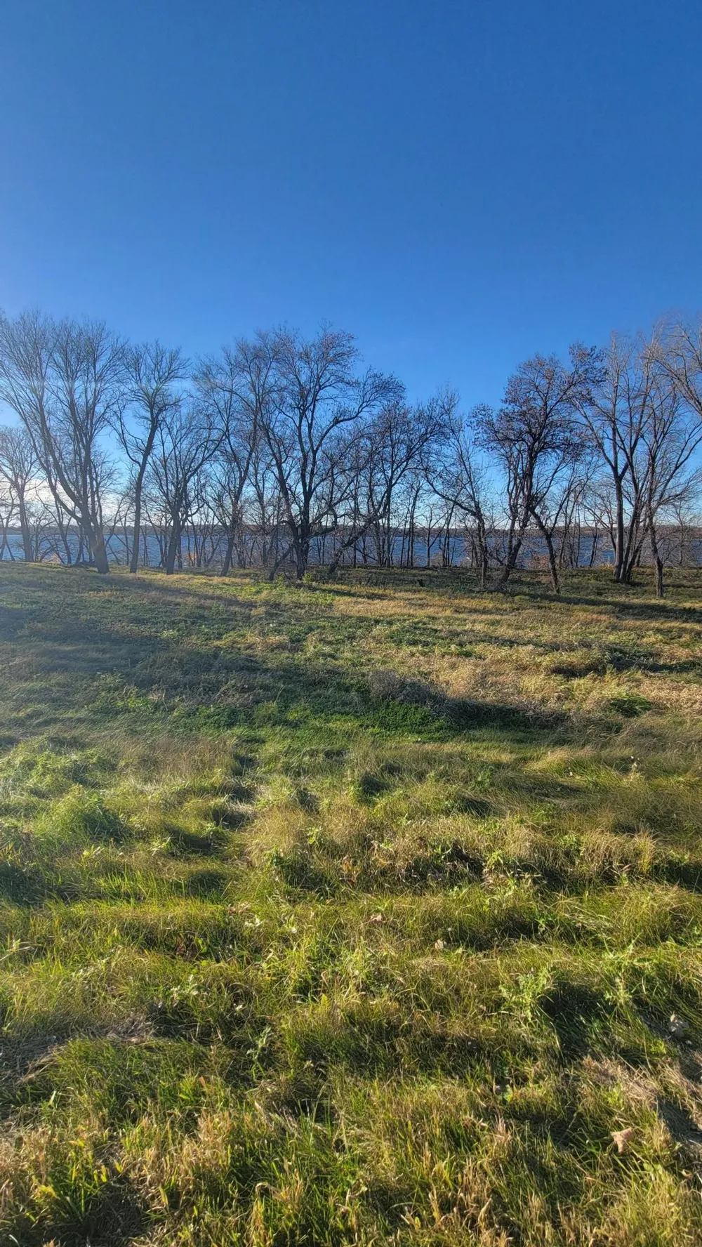 TBD Lot 4 County Road 9 NE Willmar, MN 56201
