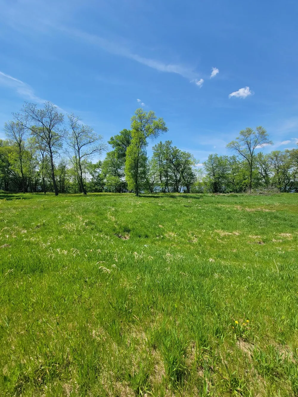 TBD Lot 4 County Road 9 NE Willmar, MN 56201