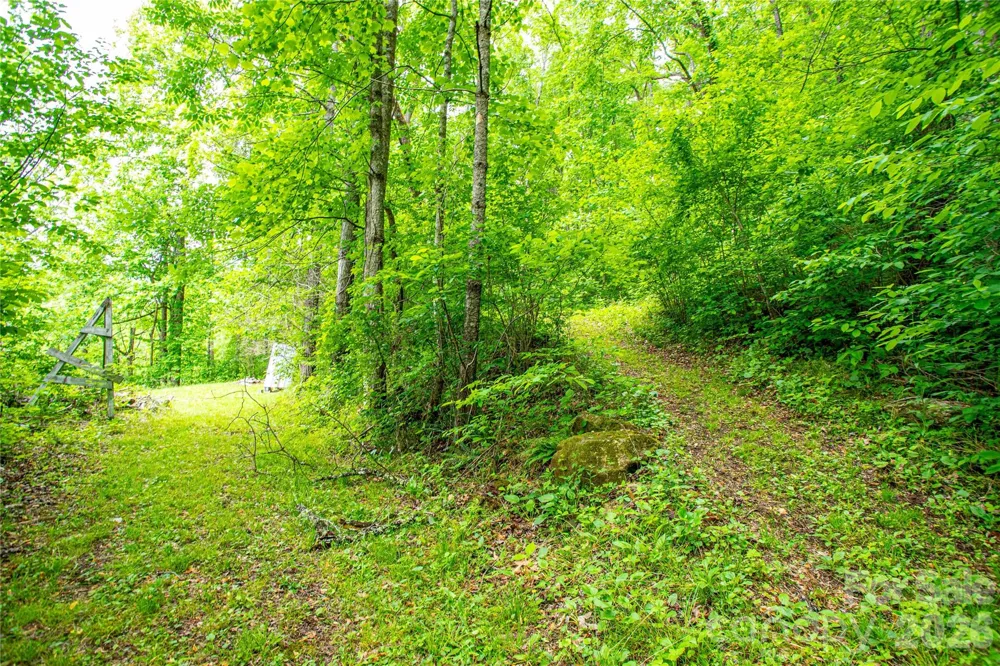 658 Tilley Creek Road Cullowhee, NC 28723