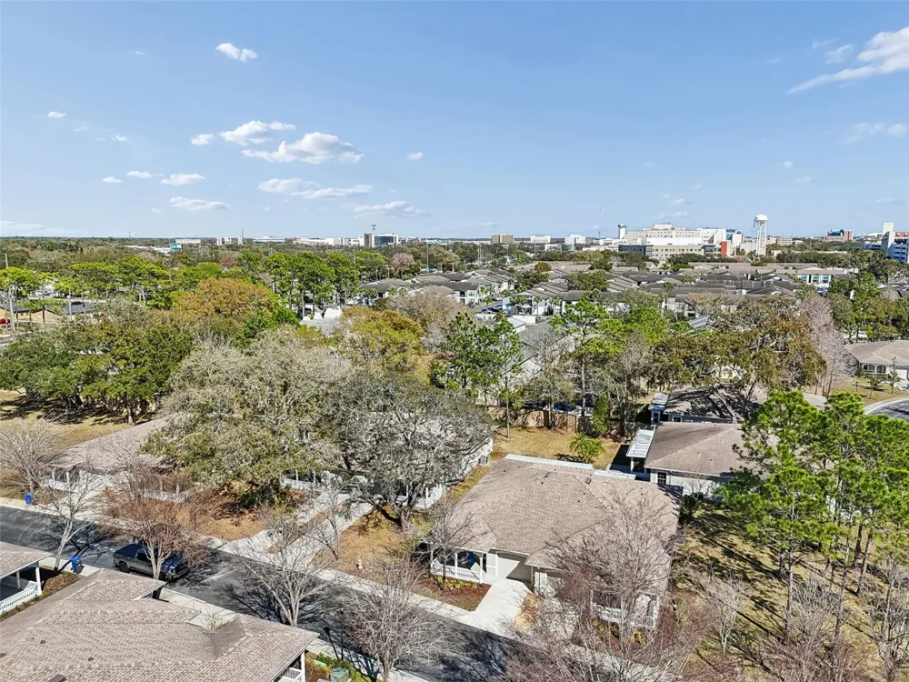 12715 TAYLOR NICOLAS DRIVE Tampa, FL 33612