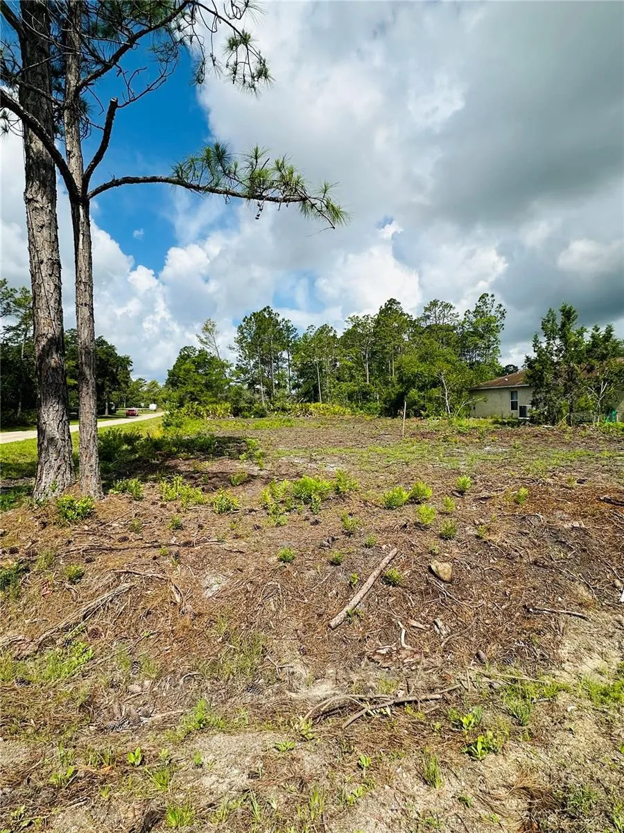 2873 LAUREL ROAD Deland, FL 32724